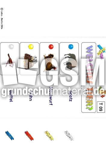 Kl-Tiere 09.pdf